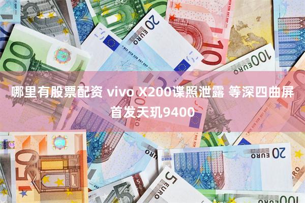 哪里有股票配资 vivo X200谍照泄露 等深四曲屏首发天玑9400