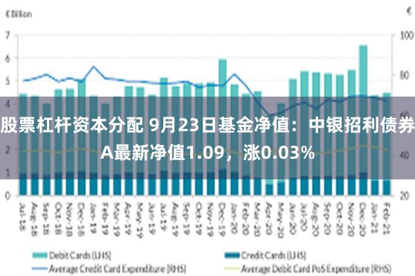 股票杠杆资本分配 9月23日基金净值：中银招利债券A最新净值1.09，涨0.03%