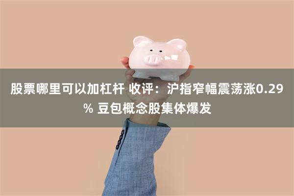 股票哪里可以加杠杆 收评：沪指窄幅震荡涨0.29% 豆包概念股集体爆发