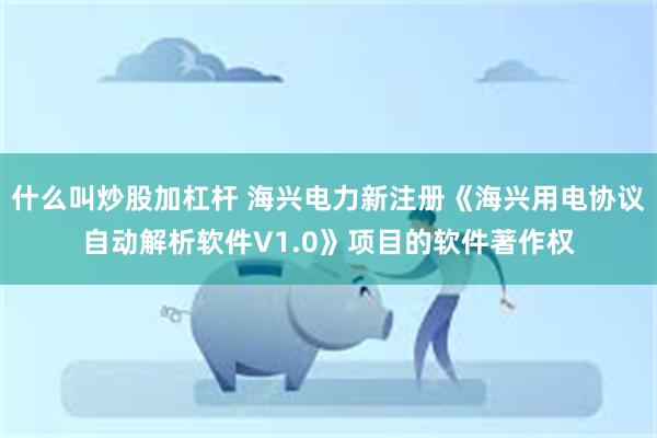 什么叫炒股加杠杆 海兴电力新注册《海兴用电协议自动解析软件V1.0》项目的软件著作权